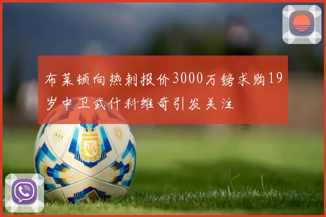 布莱顿向热刺报价3000万镑求购19岁中卫武什科维奇引发关注